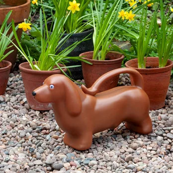 Regadera 2L - Perro salchicha - Rex London